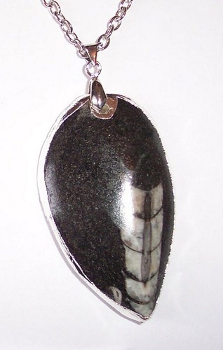 Silver plated orthoceras - silver,