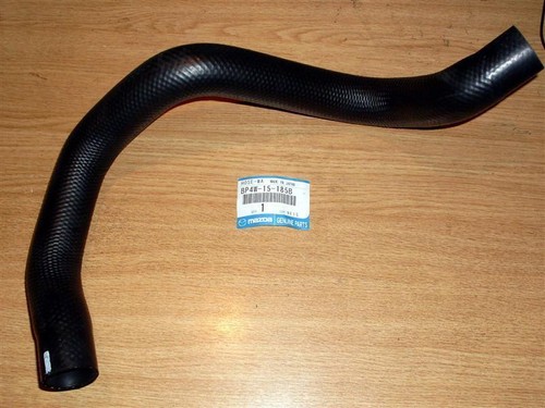 Bottom radiator cooling - , hose