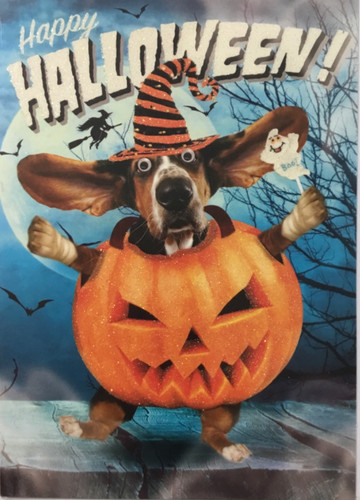 Tracks halloween basset - tracks-,