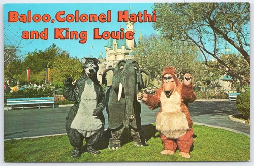 Vintage disneyland postcard - vintage,