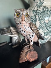 Gorgeous  Painted Wooden Owl