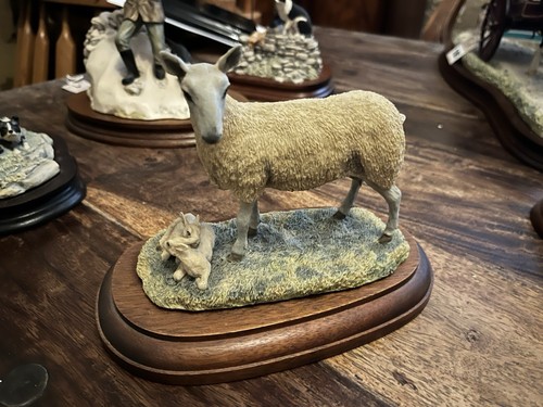 Border fine arts sheep - fine,