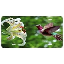 Humming Bird Novelty Front License Plate - Avian - decorative auto tag - Wall