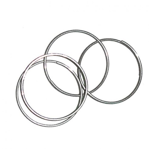 25mm galvanised plant ring - galvanised,