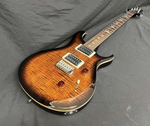 Prs custom new unused - se,