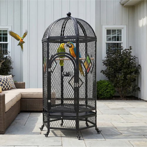 Aviary flight bird - aviary,
