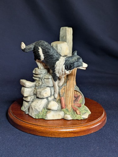 Border fine arts - arts, collie
