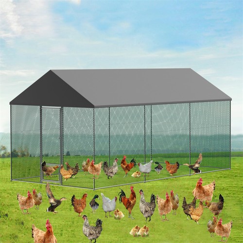 7ft spacious chicken coop - chicken,