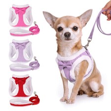 Cute Bow Dog Harness and
