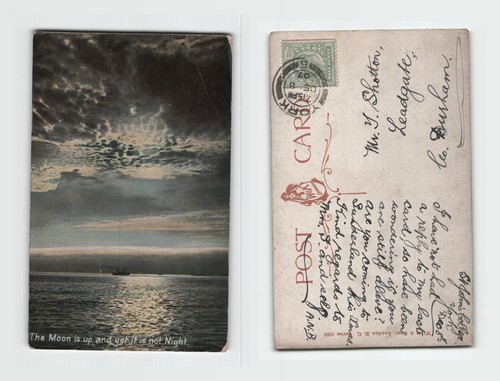 Postcard moonlit coastal - postcard,