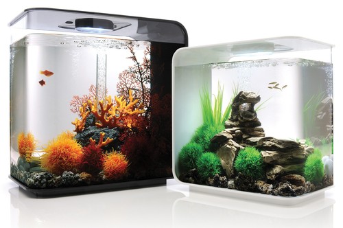 Biorb flow aquarium white - flow, /