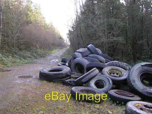 Photo 6x4 clabby forest - photo,