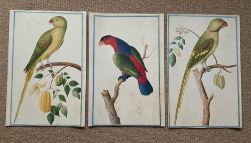 Three antique prints - antique, of