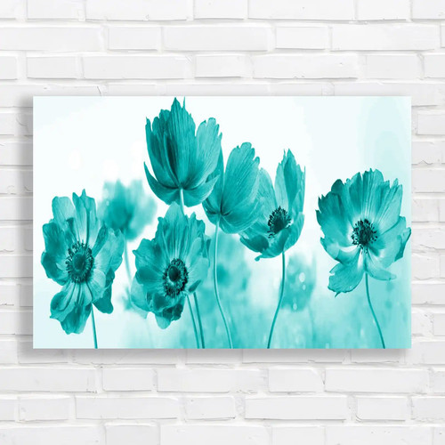 Captivating anemone flowers - captivating,