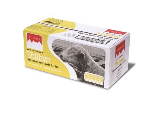 Rockies yellow mineral salt - mineral,