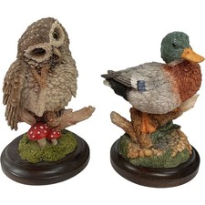 Country Artists Owl And Duck