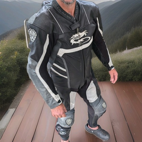 Arlen ness all one - ness, racing