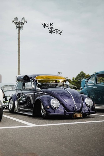 Beetle bug external vintage - vw,