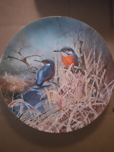 Kingfisher dawn david - kingfisher, at