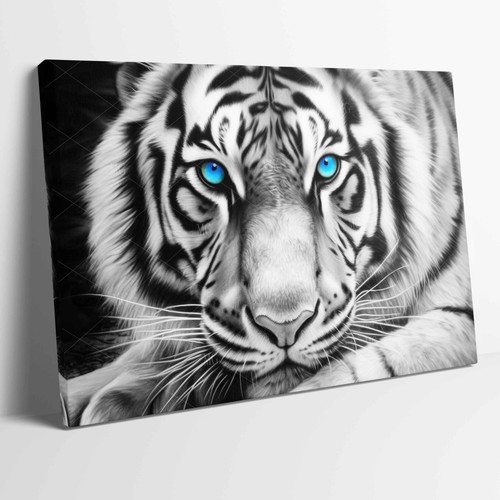 White tiger blue eyes - tiger,