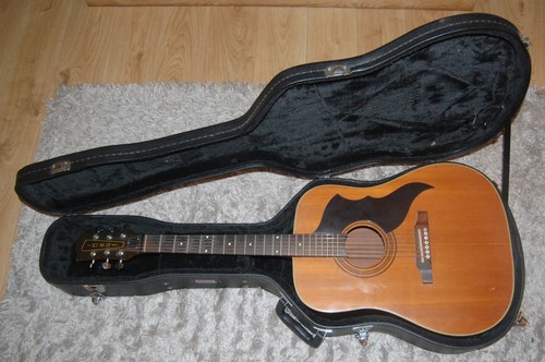Eko ranger acoustic guitar - 6,