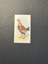 Fighting Cocks Cigarette Card (no 7)  Game Fowl
