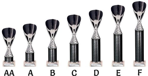 Quiz presentation cup - quiz,