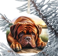 Dogue De Bordeaux Dog Hanging