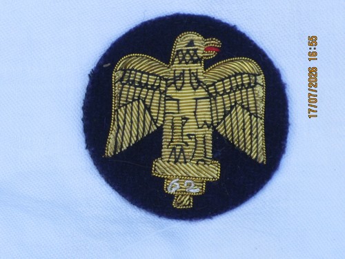 Royal anglian regiment - anglian, eagle