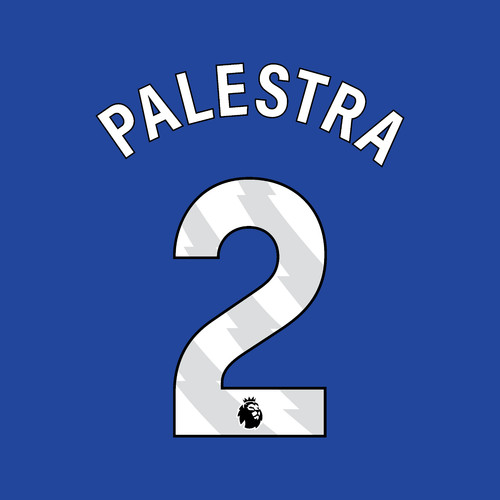 2026 2027 palestra chelsea - palestra, 2