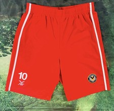 Wales. Football. Newport City