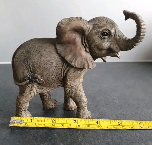 Out africa leonardo baby - of,