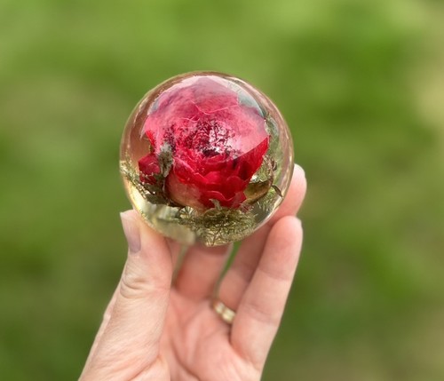 Hafod grange botanical - grange,