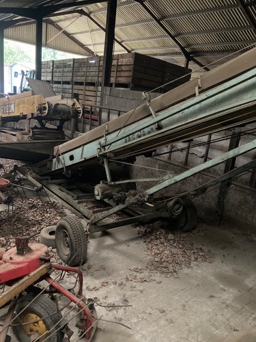 Elevator conveyor potato - elevator,