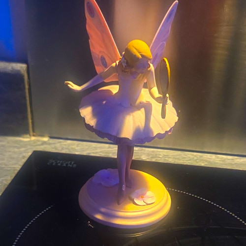 The enchanted world fairies - enchanted, of