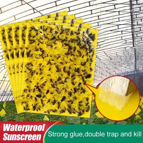 20pcs yellow sticky - sticky, fly