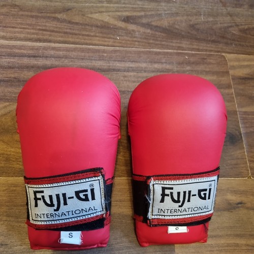 Fuji karate gloves - ji,