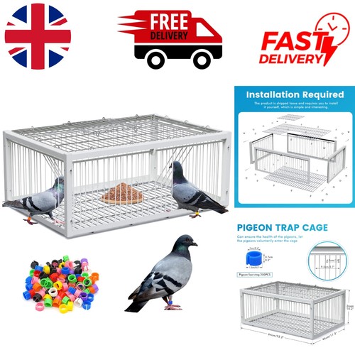 One way entry bird - one-way, cage