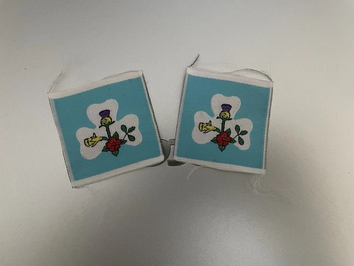 Girlguiding uk friendship - girlguiding,