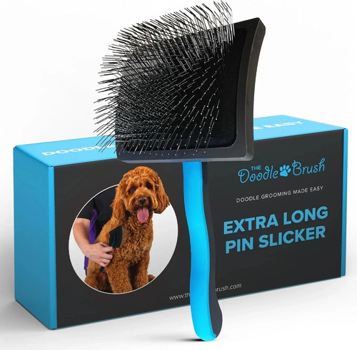 The doodle brush - the,