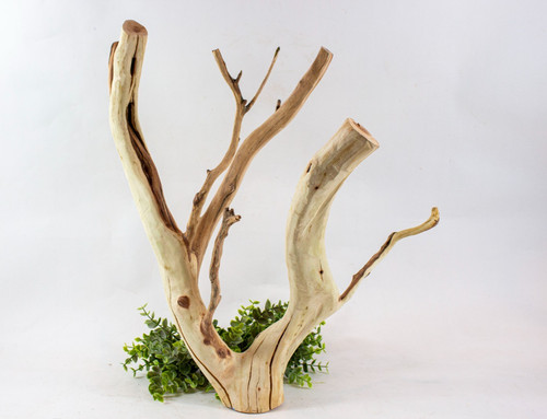 Manzanita aquarium driftwood - aquarium,
