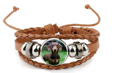Miniature dachshund dog brown - miniature,