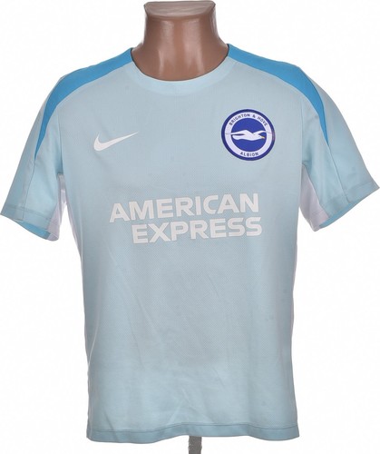 Brighton hove albion - hove,