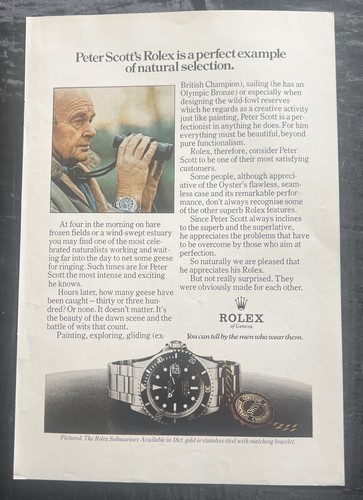 Rolex watch print peter - watch,
