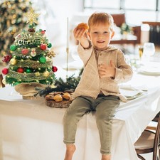 2FT Tabletop Christmas Tree
