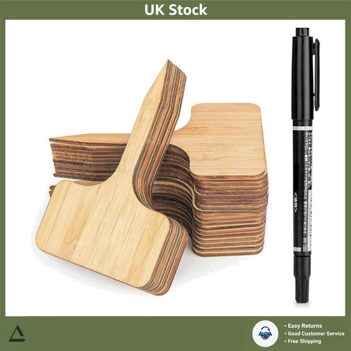 Eco friendly bamboo type - eco,