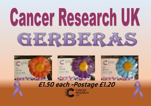 Cancer research gerbera - research, pin