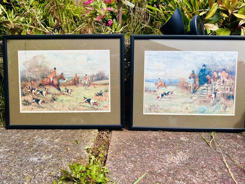 Horse hounds hunting - horse, j