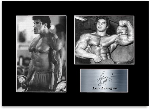 Lou ferrigno photo - ferrigno,