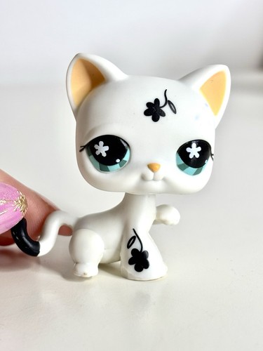 Shorthair cat 547 authentic - cat, #547